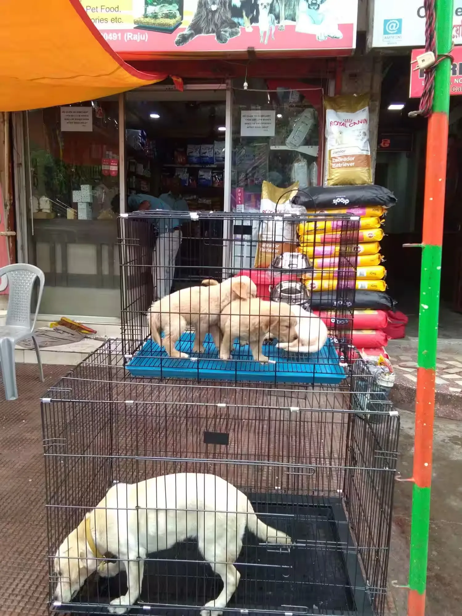 The "ZOO" Pet Shop in Bokaro