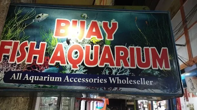 BIJAY FISH AQUARIUM in Bokaro