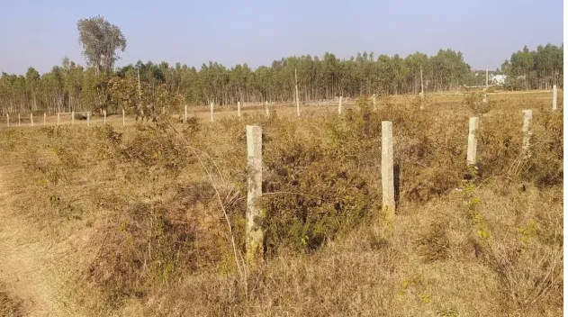 Pinsan Industries Pvt. Ltd in Bokaro