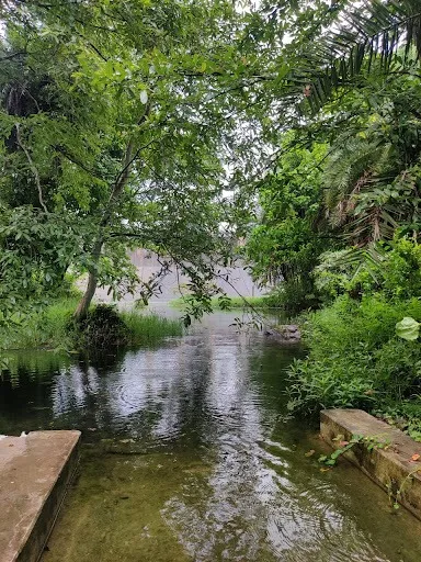 Dimna Lake in Jamshedpur
