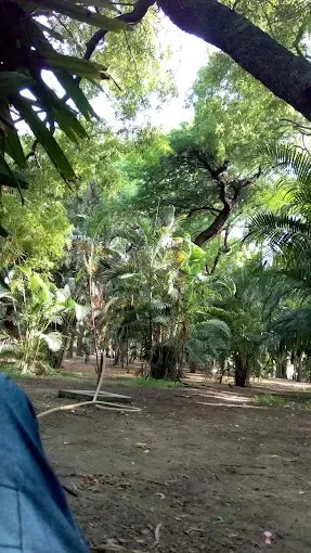 NIAMT Colony Park in Ranchi